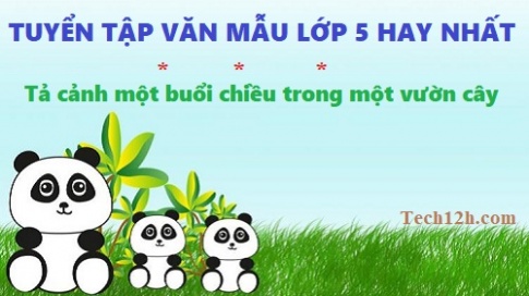 Những bài văn tả cảnh buổi chiều trong một vườn cây hay nhất tiếng việt lớp 5