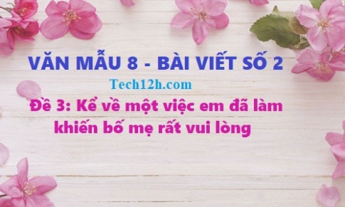 Văn mẫu 8 bài viết số 2 đề 3: Kể một việc em đã làm khiến bố mẹ rất vui lòng