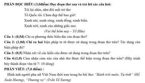 Giáo án PTNL bài Viết bài làm văn số 3: Nghị luận văn học