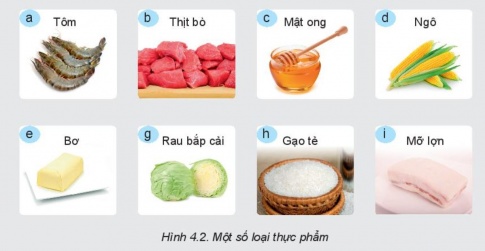  Thực phẩm và dinh dưỡng