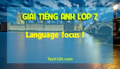 Language focus 1