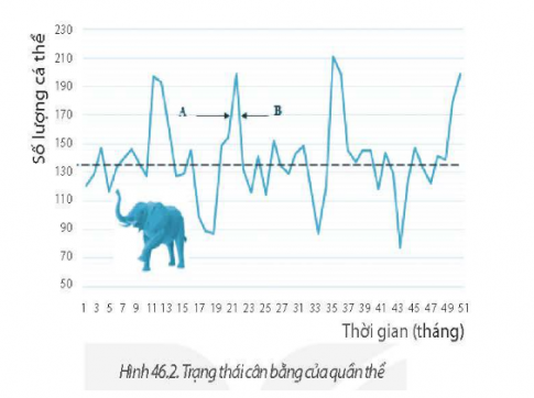 Quan sát Hình 46.1, cho biết những yếu tố nào có thể làm tăng và giảm kích thước quần thể?