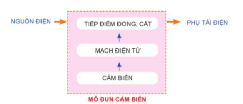  Mô đun cảm biến gồm có các phần tử nào? Chức năng của các phần tử đó là gì?