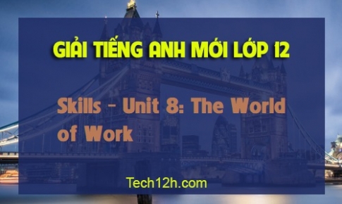 Skills Unit 8: The World of Work