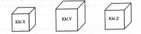 Hoàn thành thông tin trong bảng sau bằng cách điền vào chỗ .... cho phù hợp. Hãy vẽ hình (lập phương, cầu,...) so sánh thể tích của các chất khí trên ở cùng điều kiện nhiệt độ và áp suất.