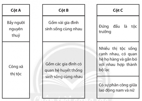 [CTST] Giải SBT lịch sử và địa lí 6 bài 4: Xã hội nguyên thủy