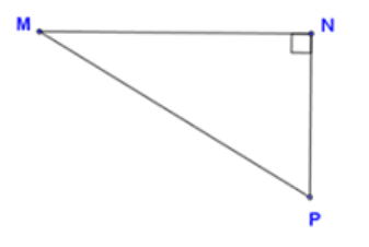 Cho tam giác vuông MNP như hình vẽ. Trực tâm giác MNP là