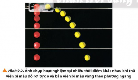 CHUYỂN ĐỘNG NÉM NGANG    Quỹ đạo của viên bi vàng có dạng đường cong.