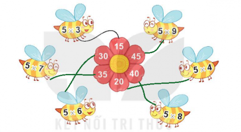 [Kết nối tri thức và cuộc sống] Giải toán 2 bài 40: Bảng nhân 5