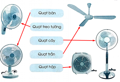 Hãy nối hình ảnh quạt điện với tên gọi của nó cho phù hợp