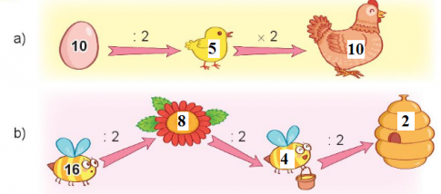 [Kết nối tri thức và cuộc sống] Giải toán 2 bài 43: Bảng chia 2