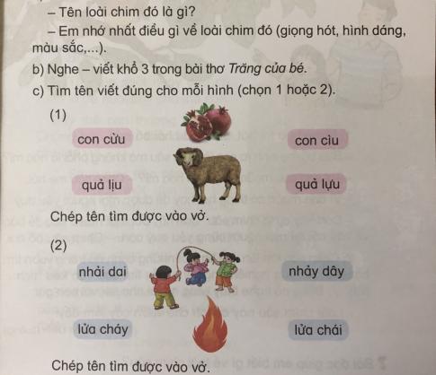 [Phát triển năng lực] Tiếng việt 1 bài 21D: Những người bạn bé nhỏ