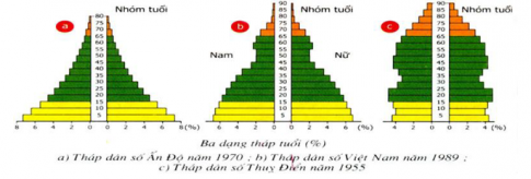 Trắc nghiệm sinh học 9 bài 48: Quần thể người (P2)