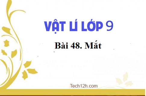 Giải bài 48 vật lí 9: Mắt