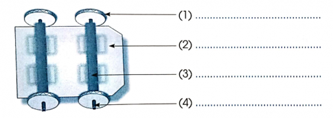 Hãy điền vào chỗ .... tên gọi các bộ phận chính của mô hình xe đua