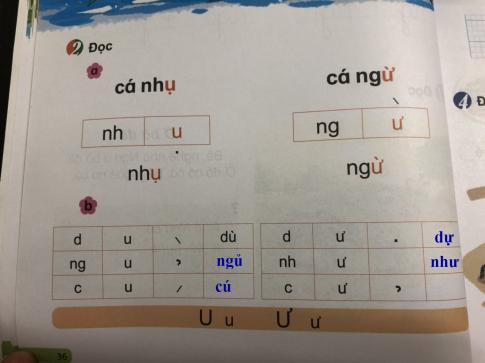 [Phát triển năng lực] Tiếng việt 1 bài 3D: u, ư