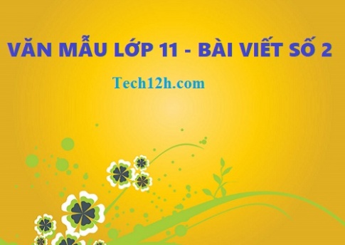 Tổng hợp những bài viết số 2 ngữ văn 11 hay nhất với đầy đủ các đề (3 đề)