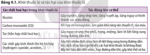  Xử phạt người hút thuốc lá ở nơi công cộng (cơ quan, trường học, bệnh viên, ...) và cấm trẻ em dưới 16 tuổi hút thuốc lá.