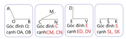 Trả lời