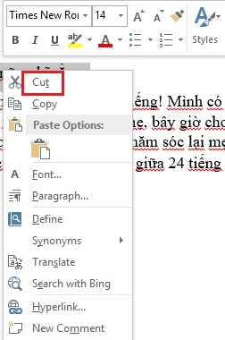 Tập hợp các cách sao chép, cắt, dán văn bản trong Word 2013