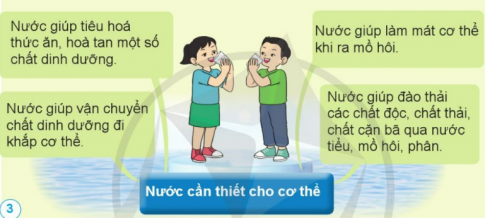 Tại sao chúng ta phải uống đủ nước mỗi ngày?