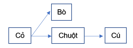 Hãy viết một chuỗi thức ăn thể hiện mối liên hệ giữa các sinh vật trong câu chuyện trên, chỉ ra mắt xích nào trong chuỗi thức ăn bị phá huỷ và hậu quả của nó.