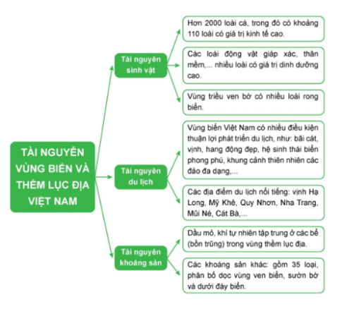 Câu 8. Hoàn thành sơ đồ theo mẫu sau về các tài nguyên ở vùng biển và thềm lục địa nước ta.