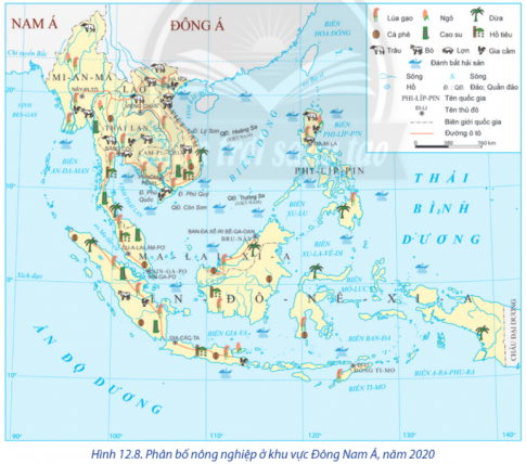  Quan sát Bản đồ phân bố nông nghiệp khu vực Đông Nam Á năm 2020 và kể tên các quốc gia trồng lúa gạo ở khu vực