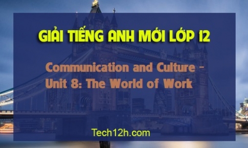 Communication and Culture Unit 8: The World of Work