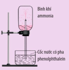 Cho thí nghiệm được thiết kế như hình dưới đây.  Trong thí nghiệm này, nước phenolphthalein sẽ bị hút lên bình chứa khí ammonia và phun thành những tia màu hồng. Hãy giải thích hiện tượng trên.