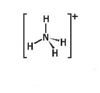 a) So sánh phân tử ammonia và ion ammonium về dạng hình học, số liên kết cộng hóa trị, số oxi hóa của nguyên tử nitrogen. b) Viết phương trình hóa học minh họa tính acid/base của ammonia và ammonium.