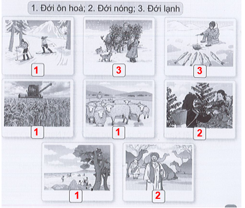 Mỗi hình dưới đây thể hiện hoạt động tiêu biểu của con người ở đới khí hậu nào? Viết số 1, 2, 3 vào ô dưới mỗi hình cho phù hợp