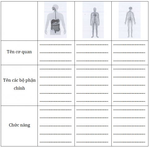 Hoàn thành bảng dưới đây