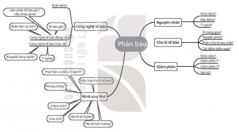 Điền tiếp các thông tin vào dấu (?) trong sơ đồ ở trang sau