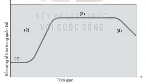 Quan sát hình dưới đây và thực hiện các yêu cầu sau