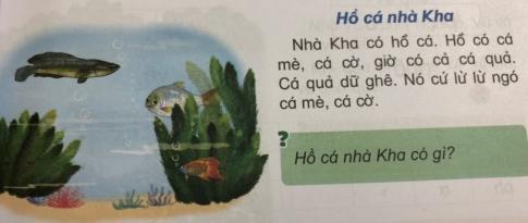 [Phát triển năng lực] Tiếng việt 1 bài 4A: q - qu; gi