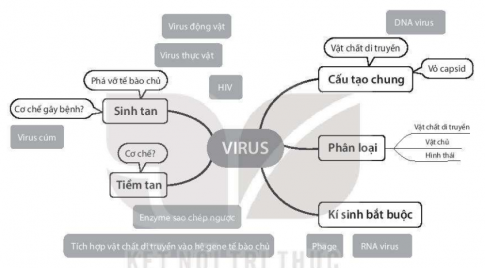 Hãy ghép các ô chữ tách rời vào vị trí thích hợp và trả lời các câu hỏi (?) trong bản đồ khái niệm dưới đây