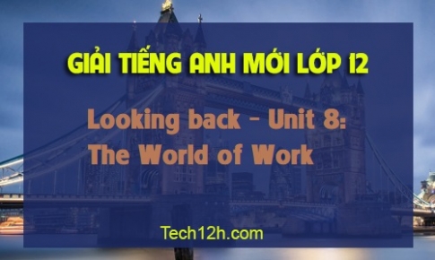 Looking back Unit 8: The World of Work