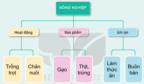 Giải bài 12 Ôn tập chủ đề Cộng đồng địa phương