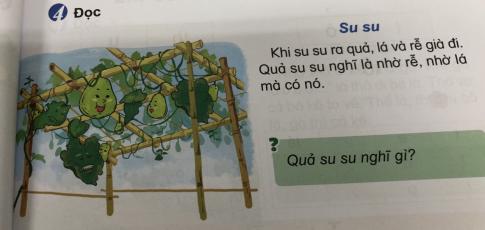 [Phát triển năng lực] Tiếng việt 1 bài 4C: r, s