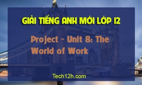 Project Unit 8: The World of Work