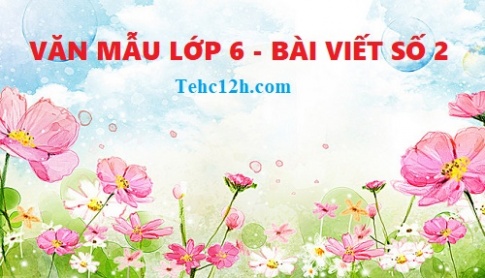 Tổng hợp những bài viết số 2 ngữ văn 6 hay nhất với đầy đủ các đề (5 đề)