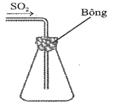 Một bạn học sinh thu khí SO2 vào bình tam giác và đậy miệng bình bằng bông tẩm dung dịch E (để giữ không cho khí SO2 bay ra) theo sơ đồ bên: