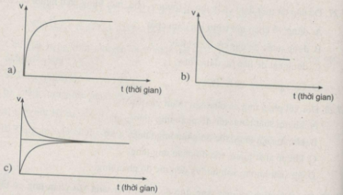 Giải SBT hóa 10 bài 39: Luyện tập : Tốc độ phản ứng và cân bằng hóa học trang 80