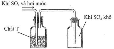 Sau khi điều chế, khí SO2 có lẫn hơi nước được dẫn qua bình làm khô chứa các hạt chất rắn T rồi thu vào bình chứa theo hình vẽ sau:     Chất T có thể là