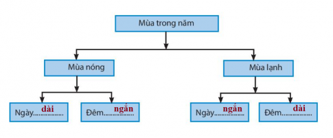 [Chân trời sáng tạo] Giải SBT lịch sử và địa lí 6 bài 7: Chuyển động quanh Mặt Trời của Trái Đất và hệ quả