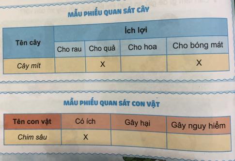 [Phát triển năng lực] Giải tự nhiên và xã hội 1 Bài 19: Cây và con vật đối với con người