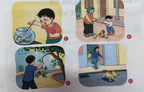 [Phát triển năng lực] Giải tự nhiên và xã hội 1 Bài 20: Chăm sóc, bảo vệ cây trồng và vật nuôi