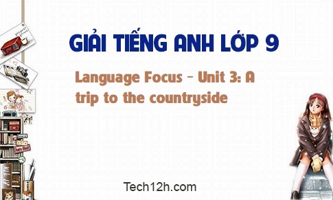 Language focus Unit 3: A Trip to the countryside