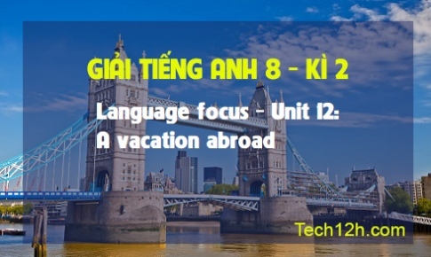 Language Focus Unit 12: A vacation abroad